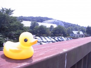 ♪ろまんちっくあげるよ～