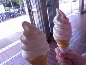 見辛いですが・・・。