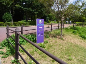 ドッグラン
