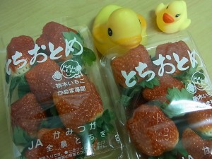 とちおとめ